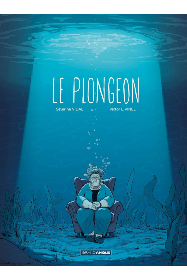 Le Plongeon (Grand Angle)