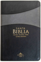 Biblia Reina Valera 1960 (Tamaño manual con letra grande y en formato piel)