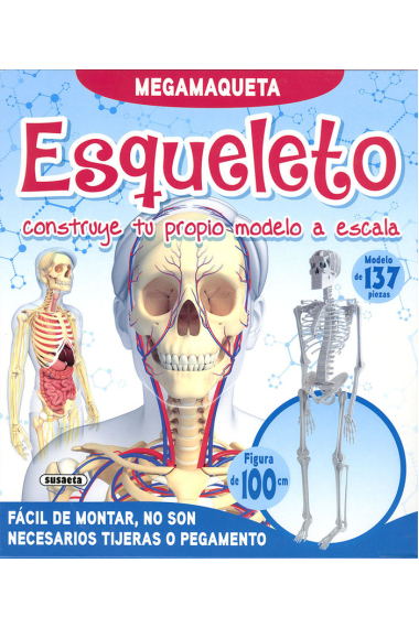 ESQUELETO