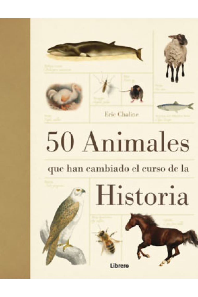 50 Animales que han cambiado el curso de la Historia