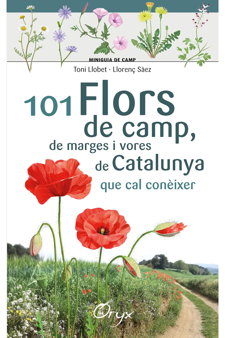 101 flors de camp, de marges i vores de Catalunya. Que cal conèixer (Miniguia de camp)