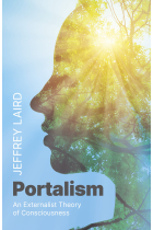 Portalism: An Externalist Theory of Consciousness