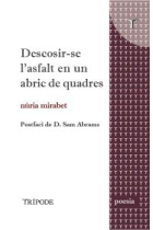 Descosir-se l'asfalt en un abric de quadres