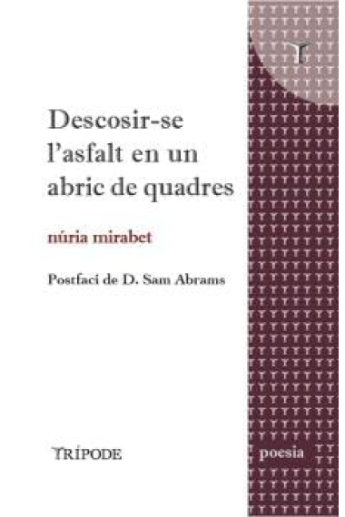 Descosir-se l'asfalt en un abric de quadres