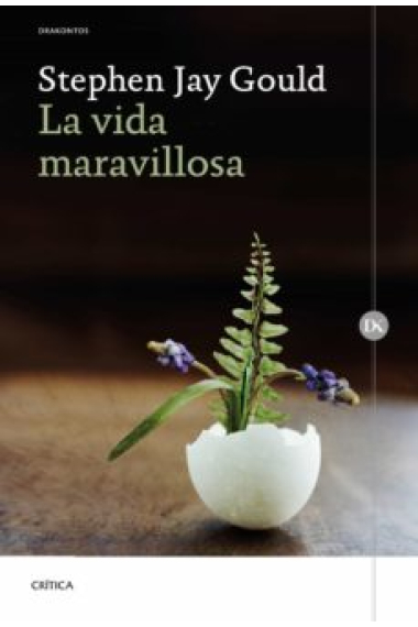 La vida maravillosa