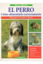 El perro cómo alimentarlo correctamente para que esté sano y fuerte.