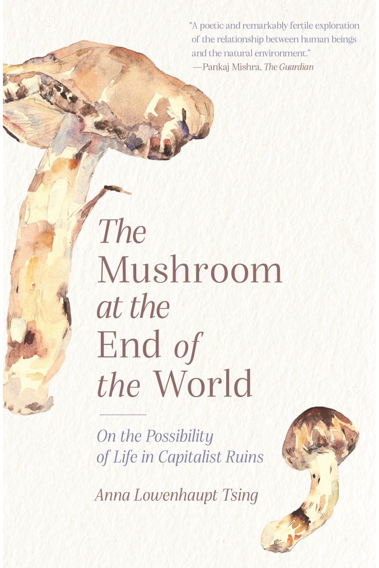 The Mushroom at the End of the World : On the Possibility of Life in Capitalist Ruins