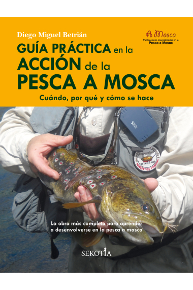 Guía práctica en la acción de la pesca a mosca. Cuándo, por qué y cómo se hace