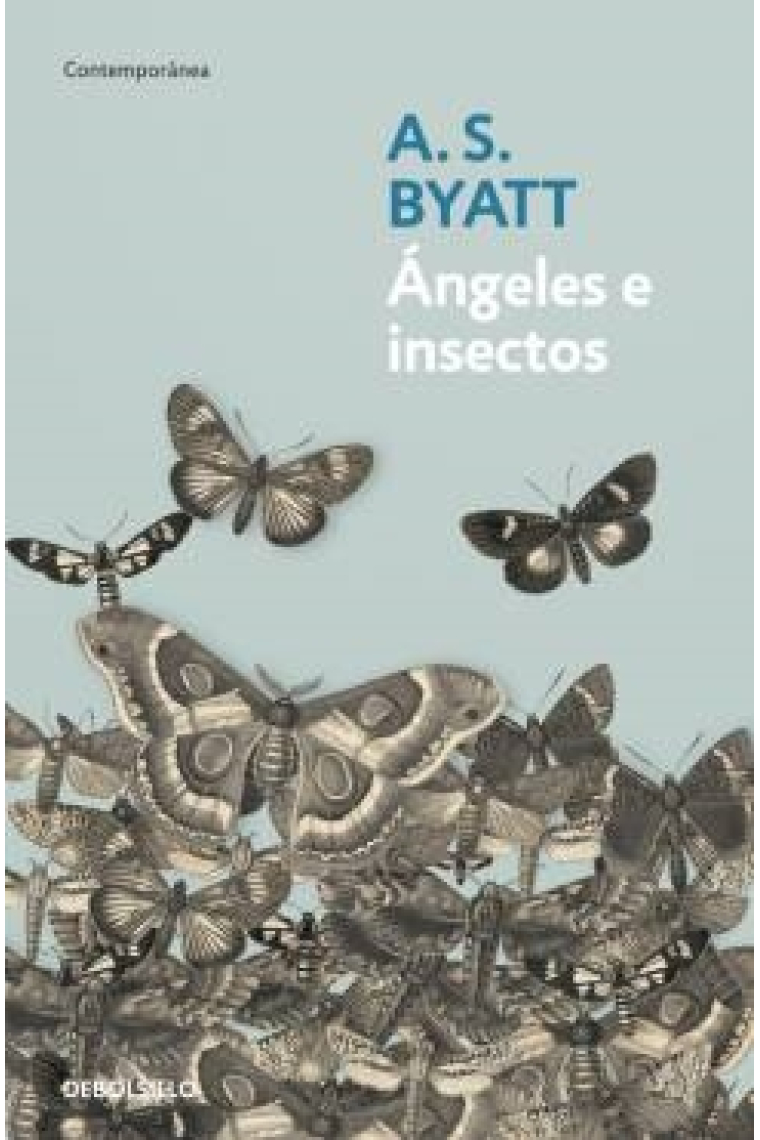 Ángeles e insectos