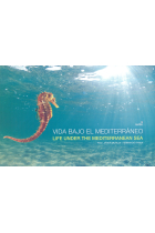 Vida bajo el mediterráneo