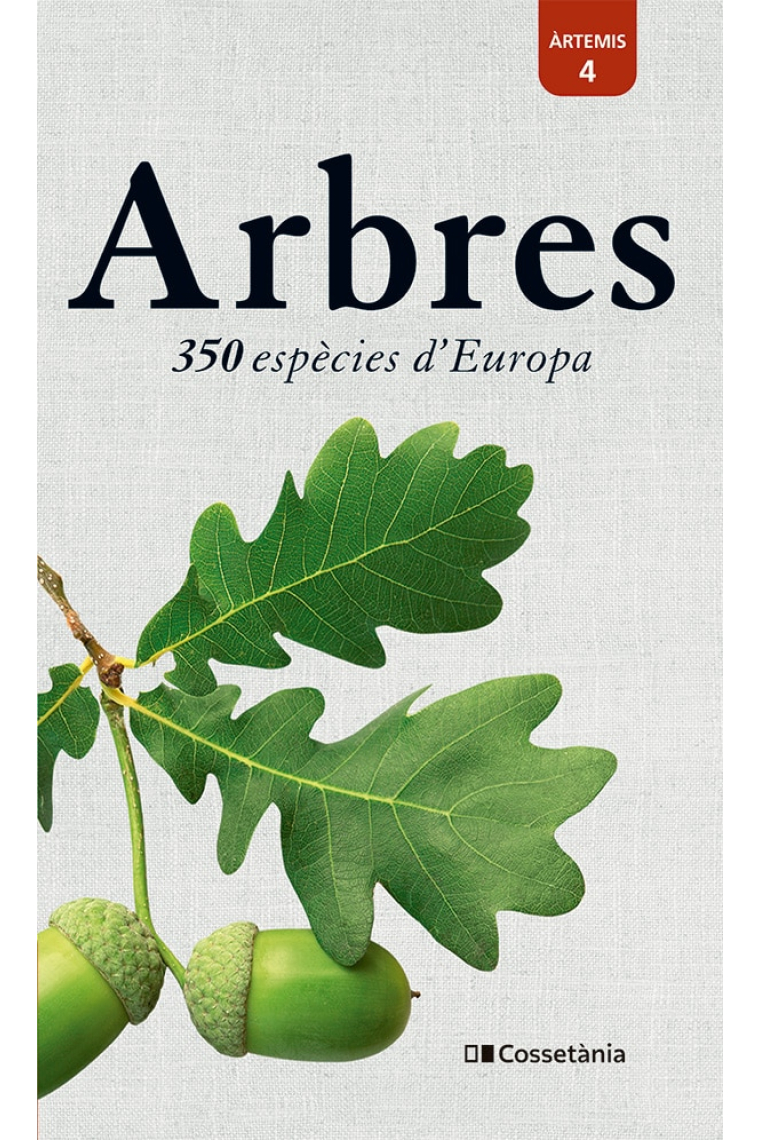 Arbres. 350 espècies d'Europa