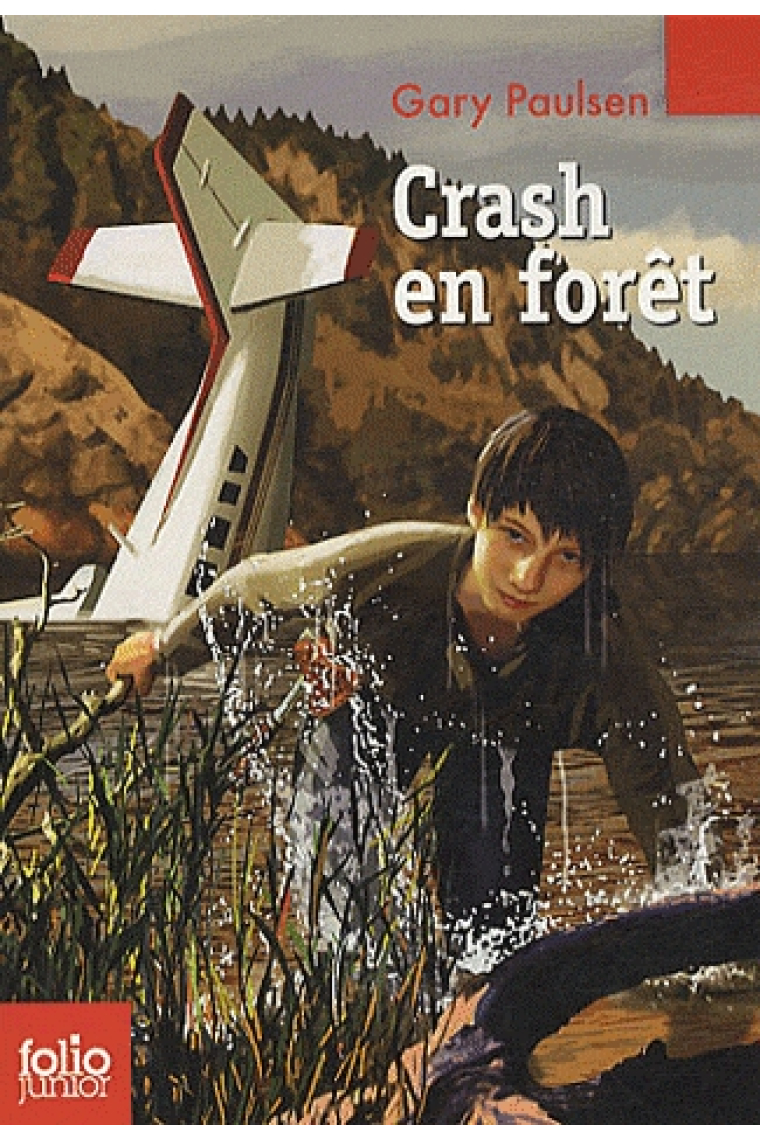 Crash en forêt