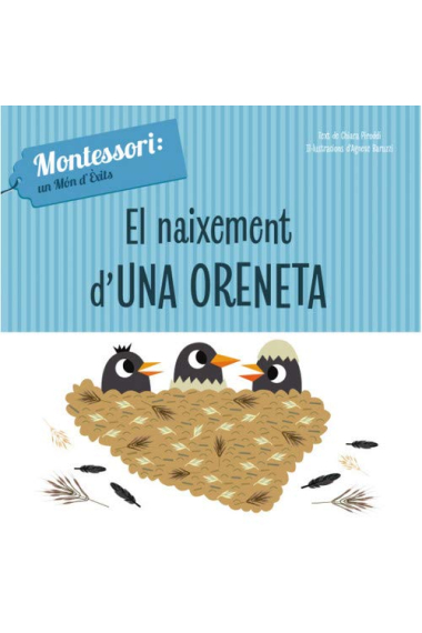 El naixement d'una oreneta (Montessori)