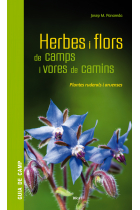 Herbes i flors de camps i vores de camins. Plantes ruderals i arvenses