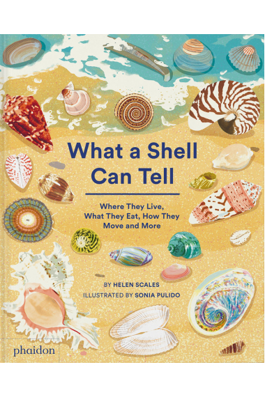 WHAT A SHELL CAN TELL