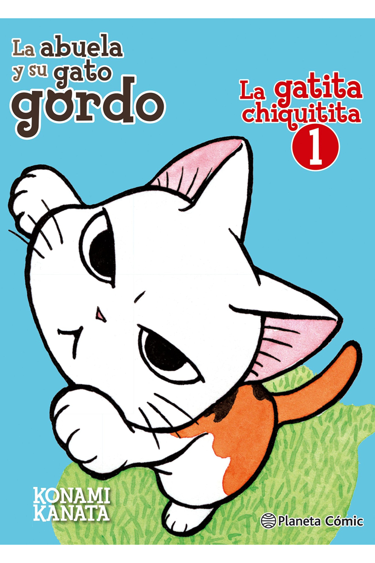 La gatita chiquitita 1