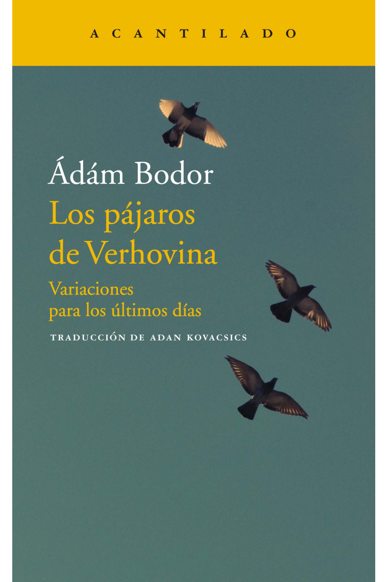 Los pájaros de Verhovina. Variaciones para los últimos días