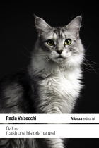 Gatos. Casi una historia natural