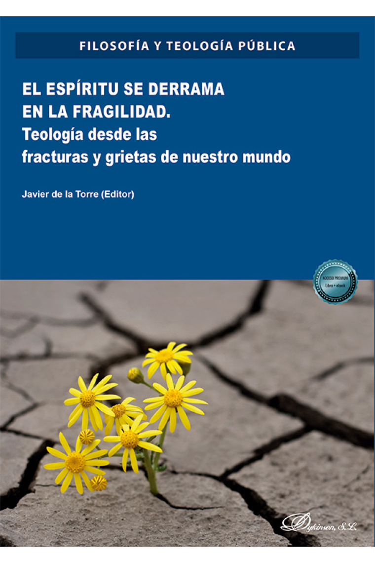 El espíritu se derrama en la fragilidad: teología desde las fracturas y grietas de nuestro mundo