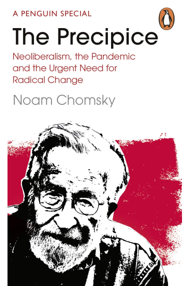 The Precipice: Neoliberalism, the Pandemic and the Urgent Need for Radical Change