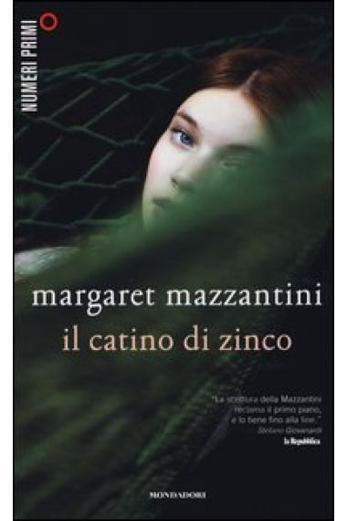 Il catino di zinco