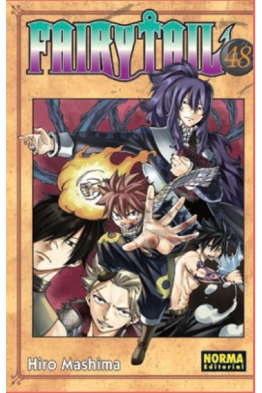 Fairy Tail 48