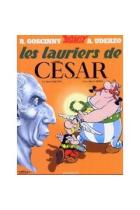 Astérix et Les Lauriers de César 18