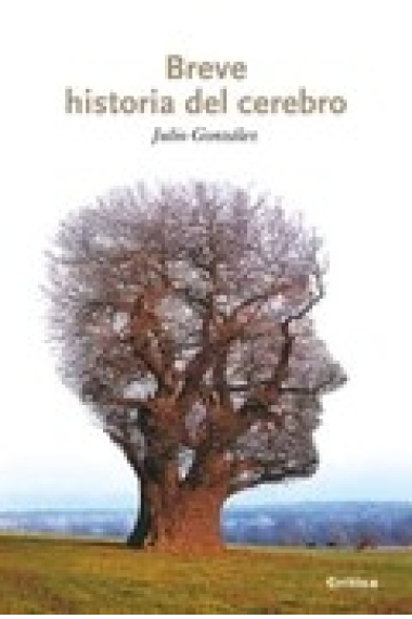 Breve historia del cerebro