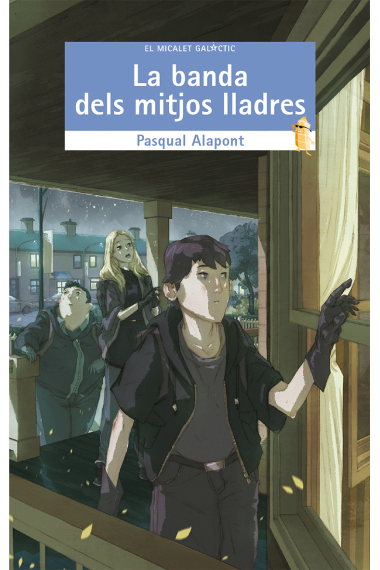 La banda dels mitjos lladres