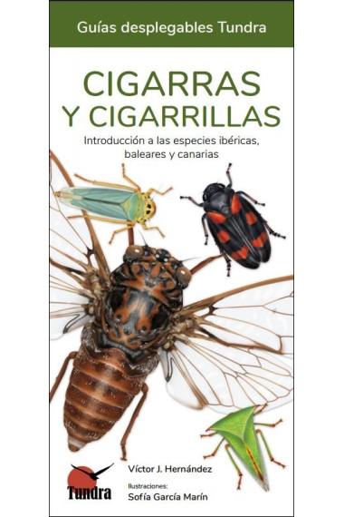 CIGARRAS Y CIGARRILLAS