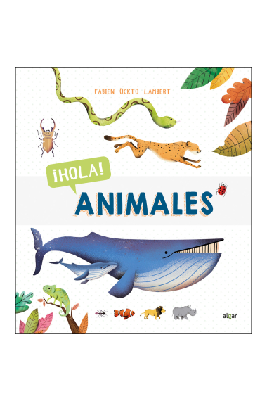 ¡Hola! Animales