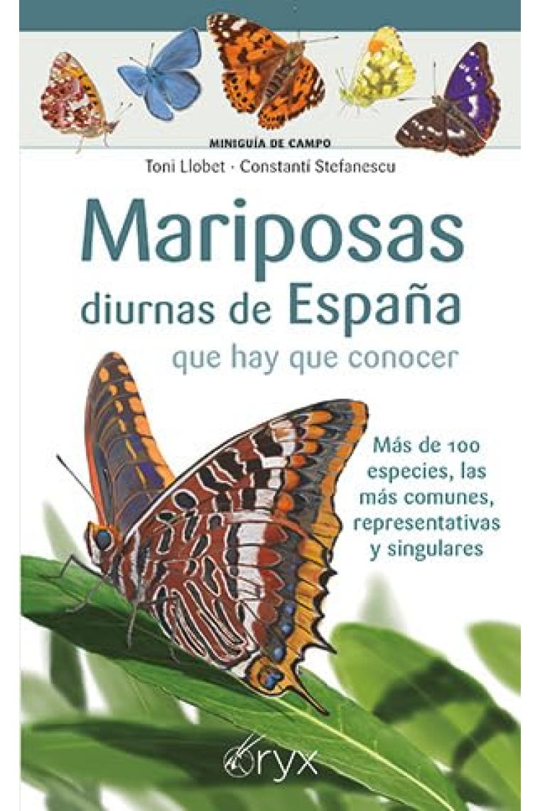 Mariposas diurnas de España que hay que conocer. Más de 100 especies, las más comunes, representativas y singulares