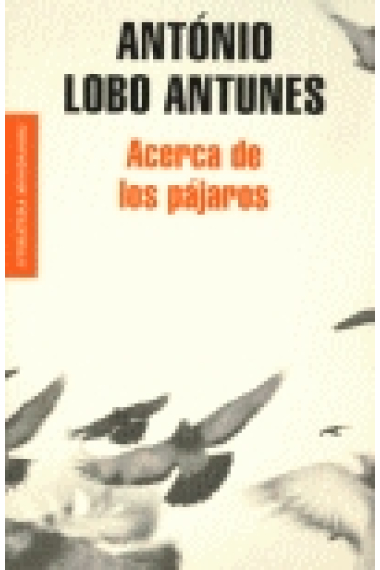 Acerca de los pájaros