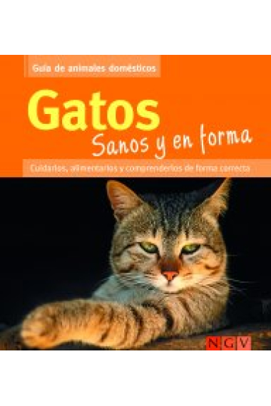 Gatos sanos y en forma