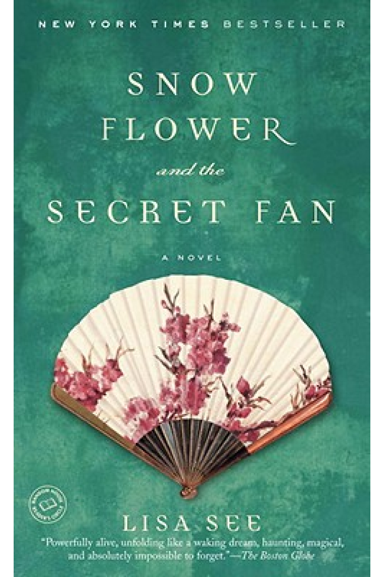 Snow flower and the secret fan