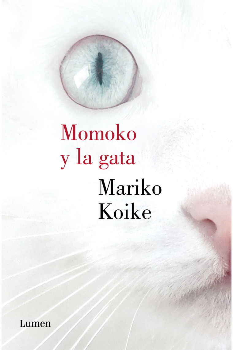 Momoko y la gata