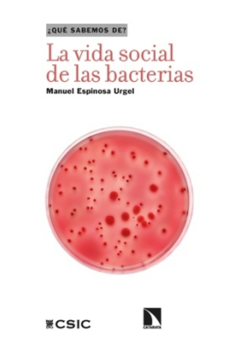 La vida social de las bacterias. ¿Qué sabemos de?