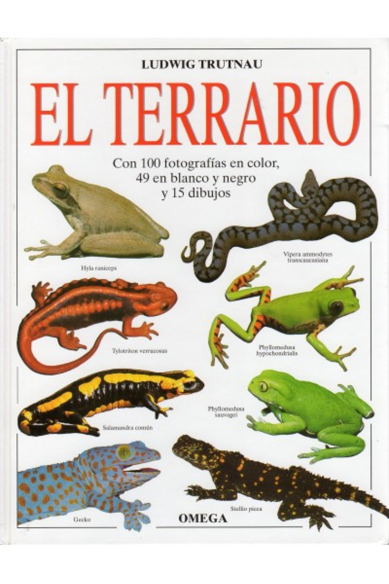 El terrario.