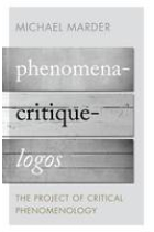 Phenomena-Critique-Logos: the project of critical phenomenology