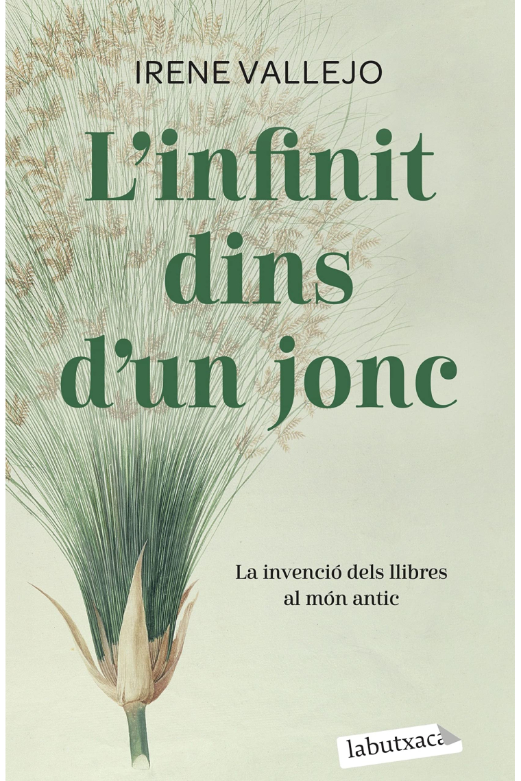 L'infinit dins d'un jonc: la invenció dels llibres al món antic