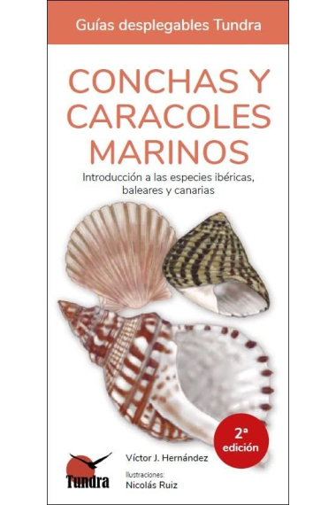 Conchas y caracoles marinos. Introducción a las especies ibéricas, baleares y canarias (Guías desplegables Tundra)