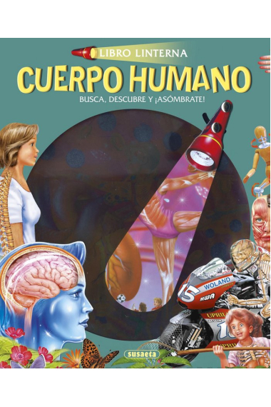 Cuerpo humano