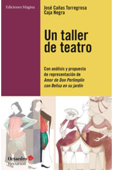 Un taller de teatro (Con análisis y propuestas de representación de Amor de Don Perlimplín con Belisa en su jardín)