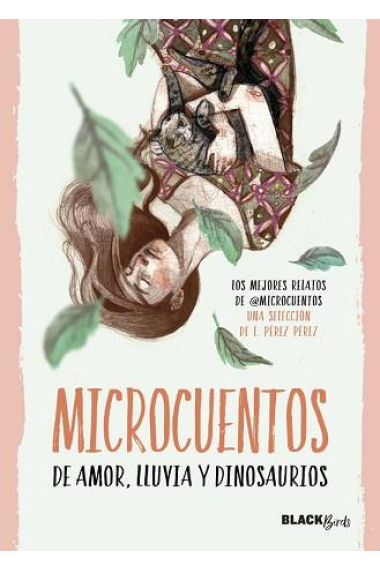 Microcuentos de amor, lluvia y dinosaurios