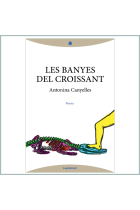 Les banyes del croissant