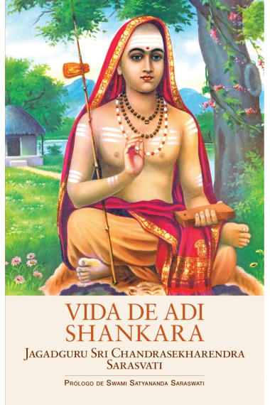 Vida de Adi Shankara