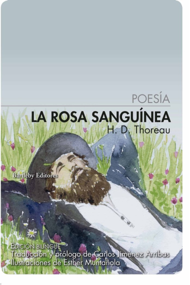 La rosa sanguínea