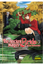 THE ANCIENT MAGUS BRDE 03