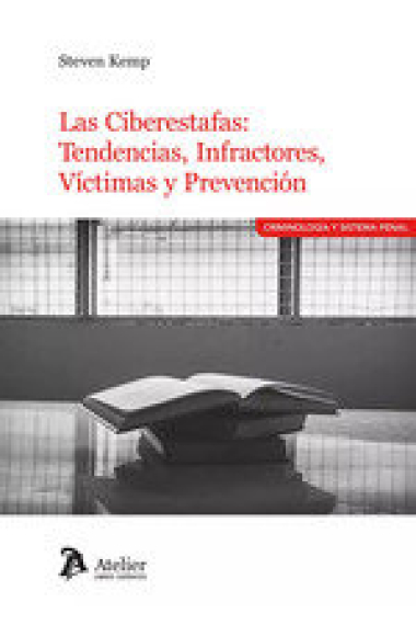 Las ciberestafas tendencias infractores víctimas y prevención