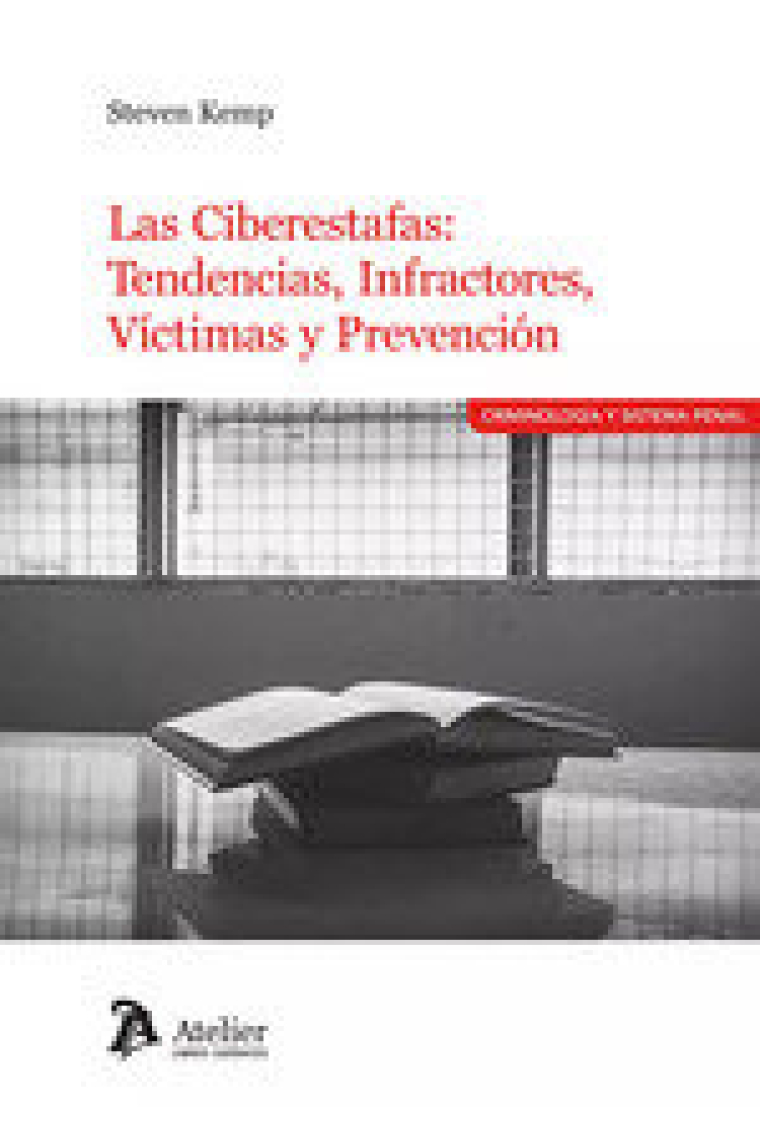 Las ciberestafas tendencias infractores víctimas y prevención